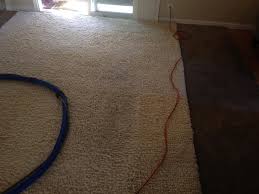carpet cleaning redwood city carpet