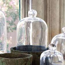 Glass Cloche Bell Jar Medium