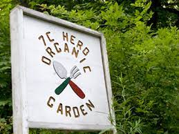7c Herb Garden Information