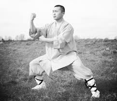 what is kung fu shaolin culture