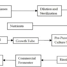 Process Flow Diagram For A Bakers Yeast Industry Download