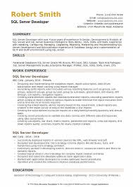 sql server developer resume sles