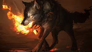 fire wolf hd wallpaper