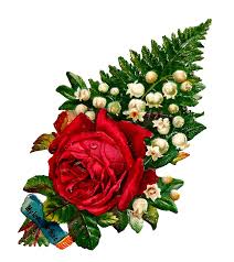 free digital flower red rose clip art