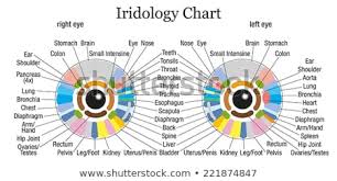 Iridology Iris Diagnostic Chart Accurate Description Stock