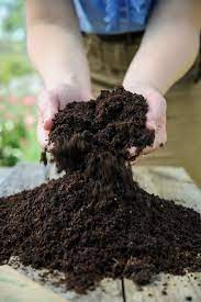 Drying Myth Of Peat Free Compost