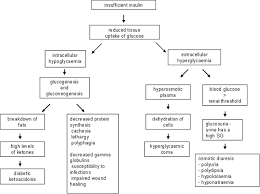 Case Studies of Patients with Type   Diabetes Mellitus  Exercises     Relationships among sleep disordered breathing  visceral fat accumulation  and atherosclerosis 