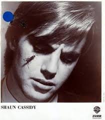 As of 2021, shaun cassidy's net worth is $20 million. Shaun Cassidy Vinyl Records And Cds For Sale Musicstack