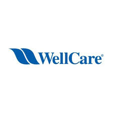 Filling out and sending us your health risk assessment within the first 90 days of joining our health plan; Wellcare Health Plans Wcg