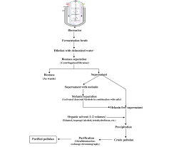Flow Diagram For Downstream Processing Of Pullulan