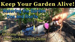 how to keep your garden alive watering