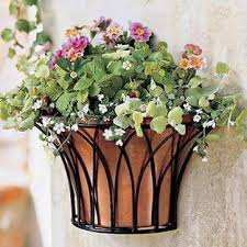 Simple Wall Flower Pots Outdoor Senecio
