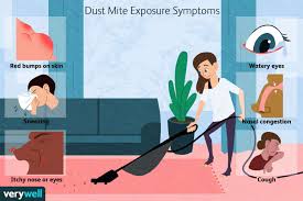 dust mite bites treatment symptoms