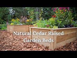 Natural Cedar Raised Garden Beds