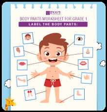 A crossword to practise body parts. Engaging Evs Worksheets For Kids Download Free Printables Inside
