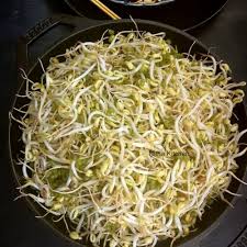 how to grow mung bean sprouts video