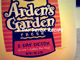 arden s garden 2 day detox recipe my