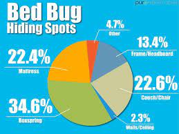 bed bug symptoms and how to treat a
