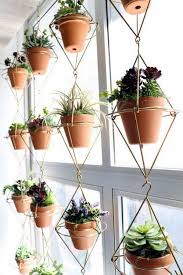 Perfect Wall Hanging Plant Decor Ideas