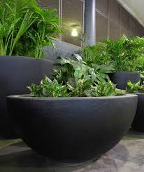Modern Large Commercial Office Planters