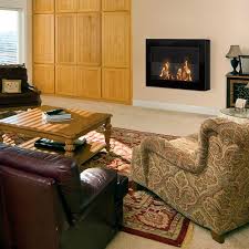 Self Contained Biofuel Fireplaces