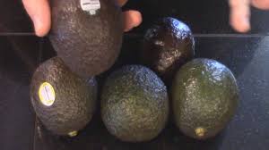 If you're looking at grim lines in the flesh of the avocado, you'll have to taste a small piece to make sure it's still good. How To Tell If An Avocado Is Ripe And Good Or Bad Youtube