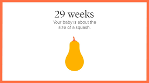 29 Weeks Pregnant Symptoms Tips And More