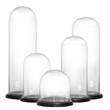Glass Dome Cloche Bell Jar Terrariums