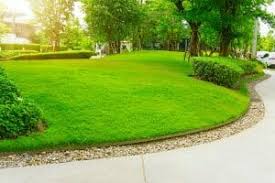 4 options for landscape edging styles