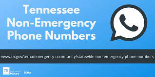 To connect with commerce insurance services's employee register on signalhire. Tennessee Department Of Commerce Insurance On Twitter T E M A Has Published A List Of Non Emergency Phone Numbers That Can Be Found Here Https T Co Adl8dy0gde