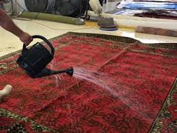 area oriental rug cleaning martin