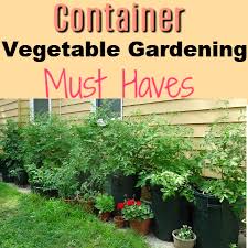 container vegetable gardening must