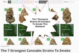 How To Create Your Own Cannabis Strain