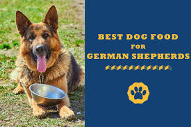 8 Best Dog Food For German Shepherd In 2019 Totally Goldens