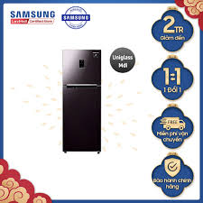 Voucher 250k) Tủ lạnh Samsung hai cửa Twin Cooling Plus 300L (RT29K5532BY)  chính hãng