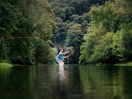 Texas has 191,000 miles of rivers and streams. A Young Man Stands In The Middle Of A River Casting A Fly Fishing Rod Surrounded By Trees Stock Images Page Everypixel