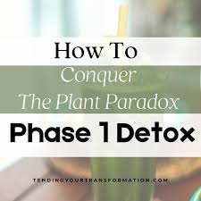 plant paradox phase 1 detox