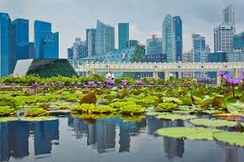 Singapore Climate Change: Reducing Heat Takes Trees and Technology -  Bloomberg