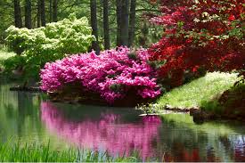 12 Best Botanical Gardens In Virginia