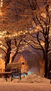 Winter Night Snow Benches Trees Street Holiday Lights