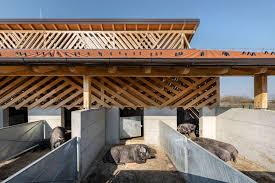 Organic Pig Farm In Croatia