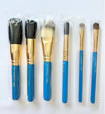 wonder woman 6 pc makeup brush set