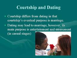 Engagement a whirlwind courtship behavior. What Is The Purpose Of Dating And Courtship