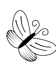 erfly clip art black and white