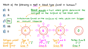 identifying the incorrect blood group