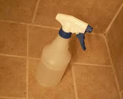 Tile And Grout Cleaner Recipe Food Com