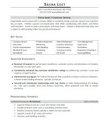 pic  profile  personal statement  career objective   key skills         Plush Design Ideas Skills Resume Template   Free Templates Examples  Samples CV Format    