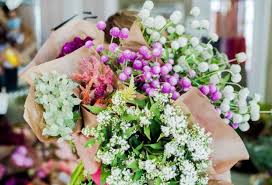 Add one of these 51 verified results with lucy promotional codes into your cart. Episode 494 How Does Rooted Farmers Marketplace Work An Update From Founder Amelia Ihlo And Insights From Farmer Florist Haley Billipp Of Eddy Farm And Connecticut Flower Collective Debra Prinzing