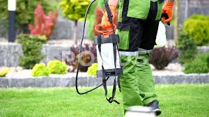 Learn about ant killing spray to eliminate and repel i merge the insect analysis work with consultation for exclusive pest control organizations. Pest Control Stock Video Footage Royalty Free Pest Control Videos Pond5
