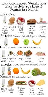 Free Diet Plans To Lose Weight Fast Fast Weight Loss Plans